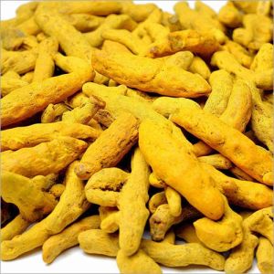 Turmeric Finger (Double Polished) - 500 gm